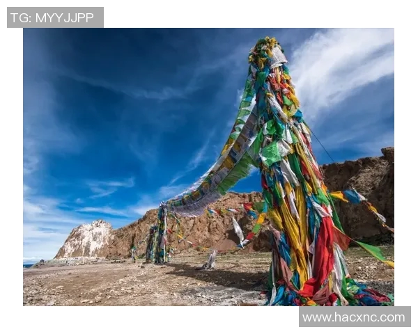 达拉飞马与梦想的碰撞探讨追求与现实的交织与反思