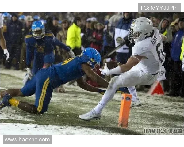 阿根廷与巴西排球对决激情碰撞谁能笑到最后