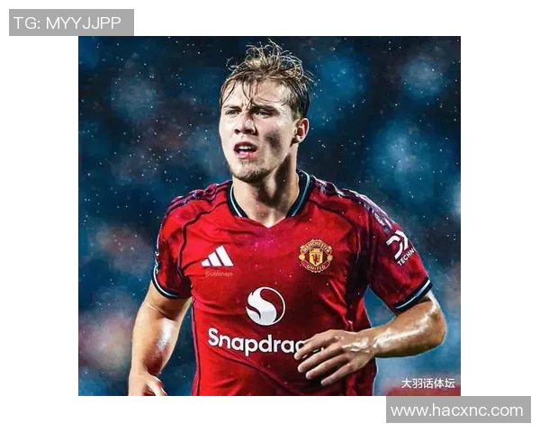 霍伊伦的传奇人生：从平凡到卓越的奋斗历程与启示