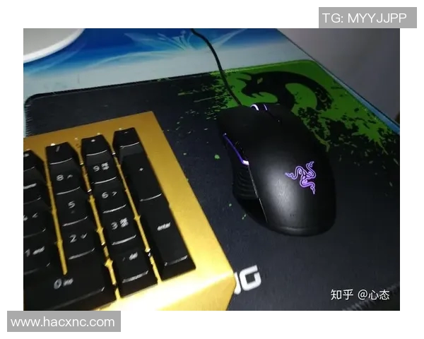 CSGO游戏鼠标选购指南推荐适合不同玩家需求的优质装备