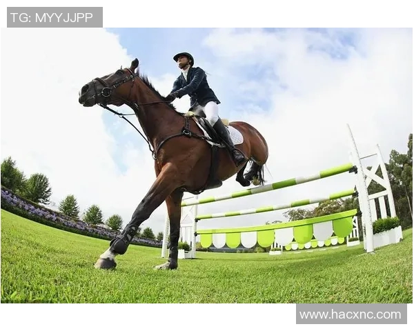杭州足球队在大师赛中的实力展现与未来发展潜力分析MBA