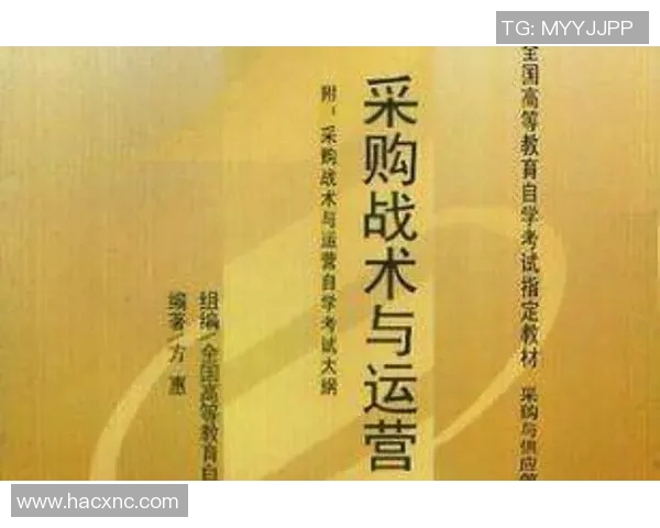 武汉乒乓球队的战术创新与运营体系探讨