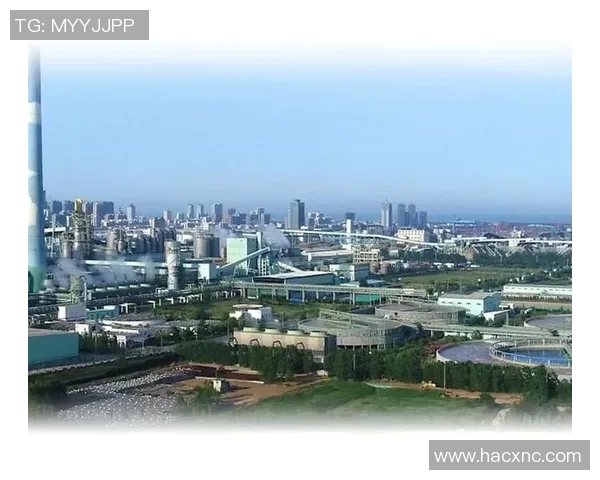 重庆羽毛球队的反击革新之路探索与未来发展展望